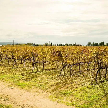 ホームステイ Tina De Pacs, Close To Local Wineries Pacs del Penedes
